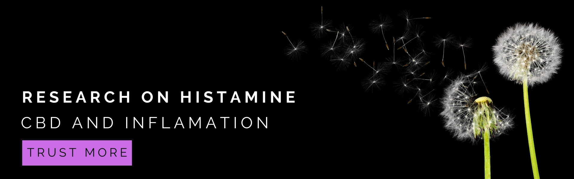 CBD's interaction with histamine and mast cell activation has been a subject of research, including studies conducted by the National Institutes of Health (NIH). Understanding this relationship is crucial in comprehending CBD's potential therapeutic effects, particularly in conditions involving immune responses and allergies.

Histamines, released by mast cells, play a significant role in allergic reactions and inflammatory responses. NIH research has been exploring how CBD, a non-psychoactive compound found in cannabis, might influence mast cell behavior and histamine release. Preliminary findings suggest that CBD may help modulate the immune response by impacting mast cell activation, potentially reducing the release of histamines.

This interaction is particularly relevant for conditions like asthma, eczema, and other allergic reactions, where histamine plays a central role. CBD's potential to stabilize mast cells and reduce histamine release could offer a new avenue for managing these conditions.

Furthermore, NIH studies are investigating CBD's anti-inflammatory properties. Since inflammation is a common result of histamine release, CBD's ability to mitigate inflammatory responses further highlights its potential as a therapeutic agent in immune-related conditions.

In summary, NIH research into CBD's effects on histamine and mast cell activation is shedding light on its possible role in managing allergic and inflammatory responses. While more research is needed, current findings are promising, suggesting CBD's potential as a natural, alternative treatment for conditions involving histamine and mast cell activity