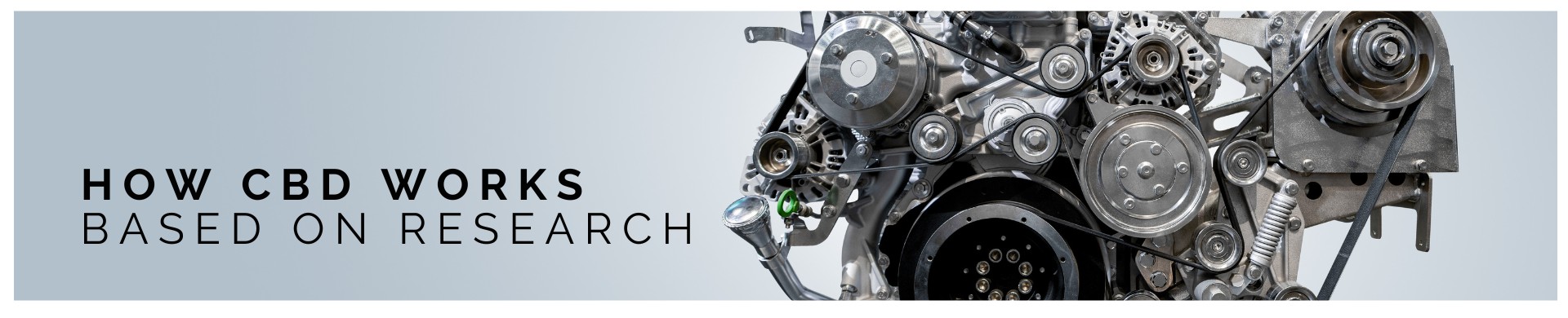 CBD, or cannabidiol, a compound found in cannabis plants, has sparked significant interest in the scientific community for its effects on the body and brain. Pivotal to understanding CBD's impact is research conducted by the National Institutes of Health (NIH). This research delves into how CBD interacts with the body's endocannabinoid system, a complex network that plays a key role in regulating various physiological processes.

NIH studies have shown that CBD interacts with receptors in the brain, potentially influencing neurotransmitter activity. This interaction is central to CBD's potential therapeutic effects on mental health disorders, including anxiety and depression. Additionally, NIH research explores CBD's neuroprotective properties, investigating its potential in neurodegenerative diseases like Alzheimer's and Parkinson's.

Beyond mental health, NIH studies highlight CBD's effects on physical health. Its anti-inflammatory properties are being researched for chronic pain management, and its antioxidative effects suggest potential in cardiovascular health.

Furthermore, NIH research is unraveling how CBD might impact sleep, appetite, and immune system responses, offering insights into its broader therapeutic potential. This research is crucial for understanding not just how CBD works in the body and brain, but also its potential as a safe and natural treatment option for a variety of conditions.

In summary, NIH research on CBD offers valuable insights into its mechanisms and effects in the body and brain, paving the way for potential therapeutic applications in both mental and physical health domains.
